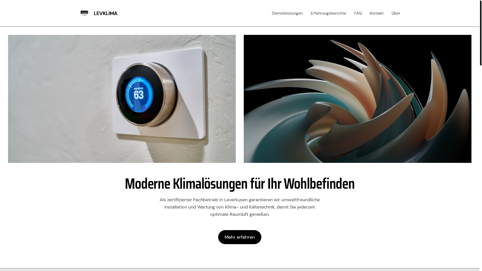 website screenshot of https://levklima.de/
