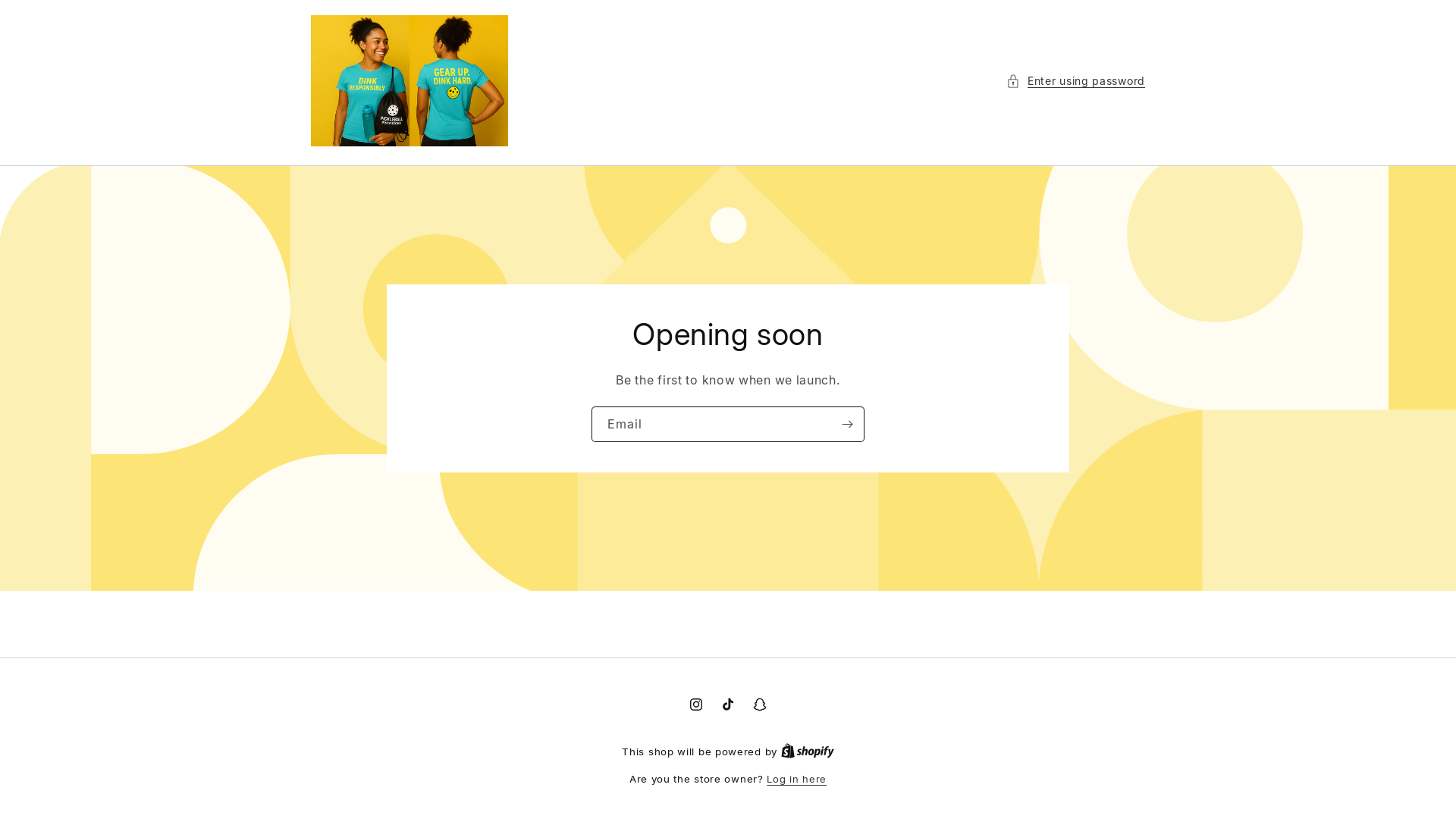 website screenshot of https://pickleballprovisions.online/