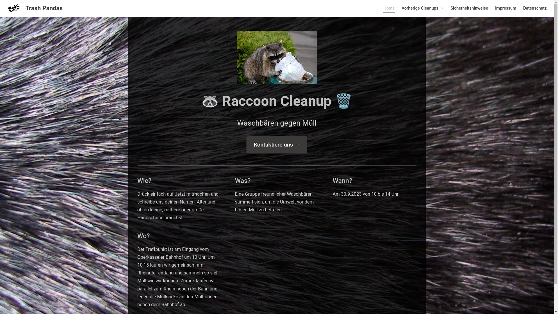 website screenshot of https://raccoon-cleanup.pages.dev/