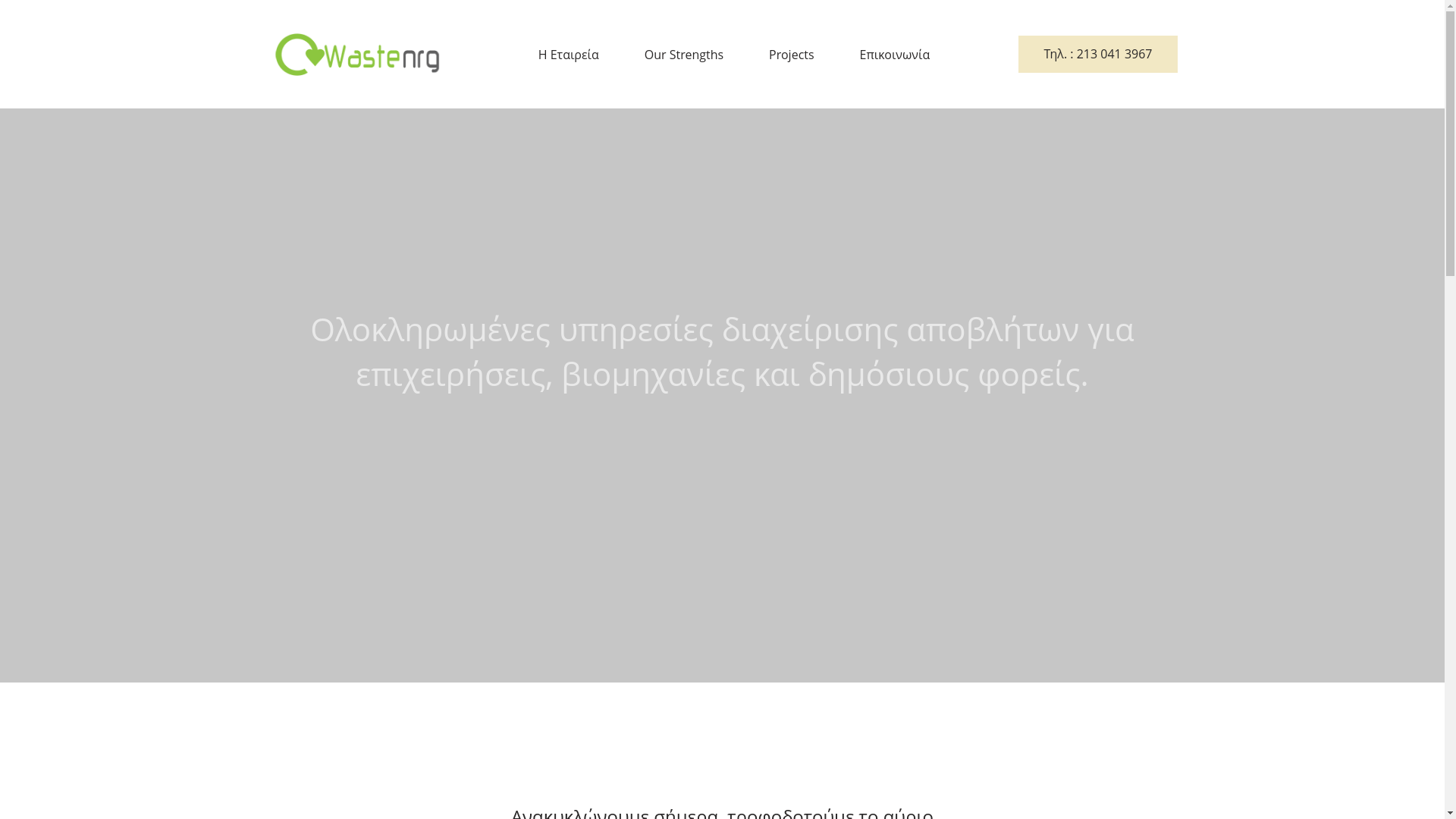website screenshot of https://wastenrg.gr/