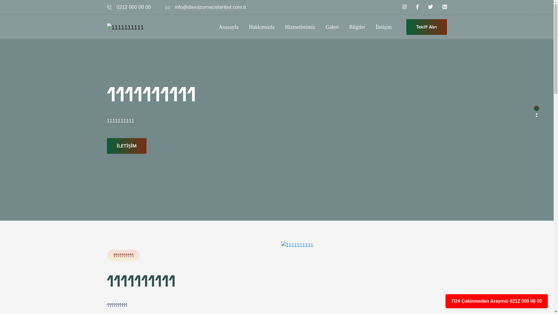 website screenshot of https://davulzurnacistanbul.com.tr/