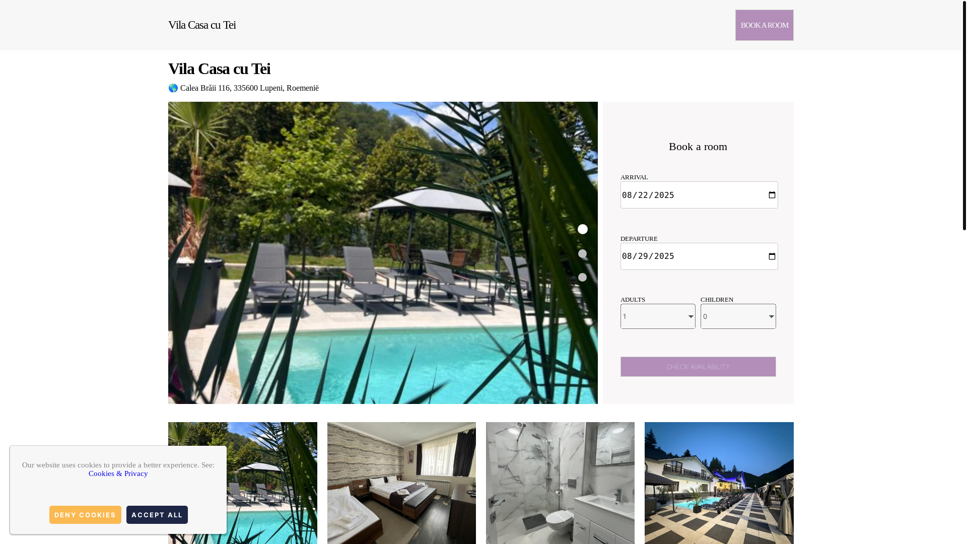 website screenshot of https://vila-casa-cu-tei.org.es/