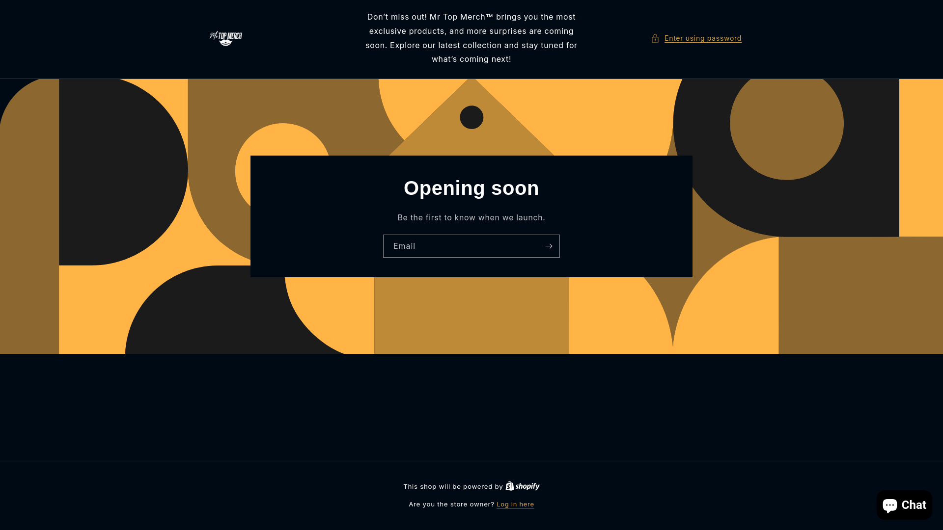 website screenshot of https://mrtopmerch.com/