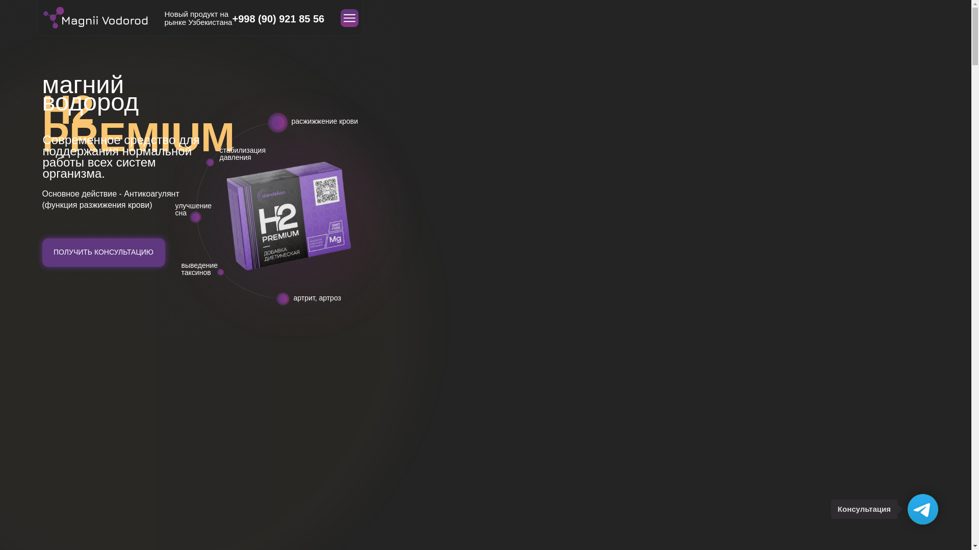 website screenshot of https://magnii-h2.uz/