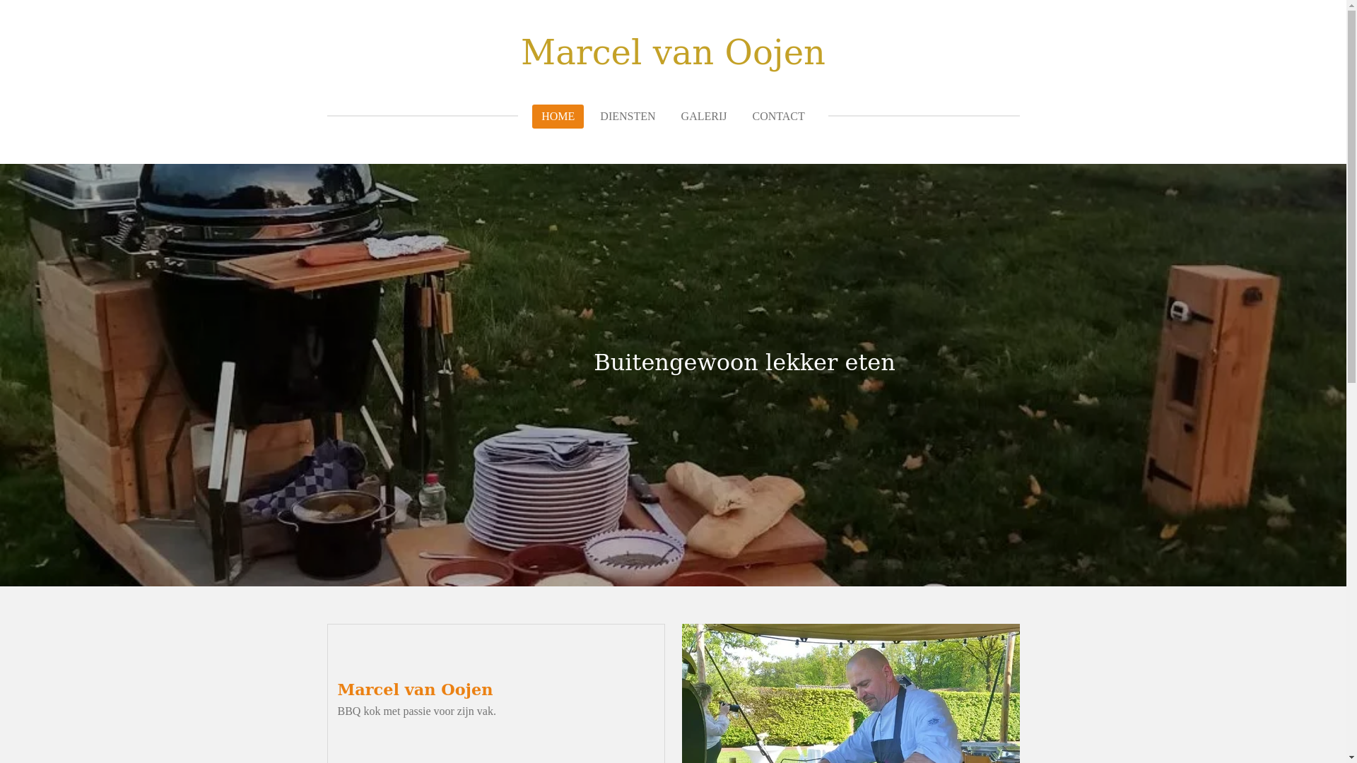 website screenshot of https://marcelvanoojen.nl/