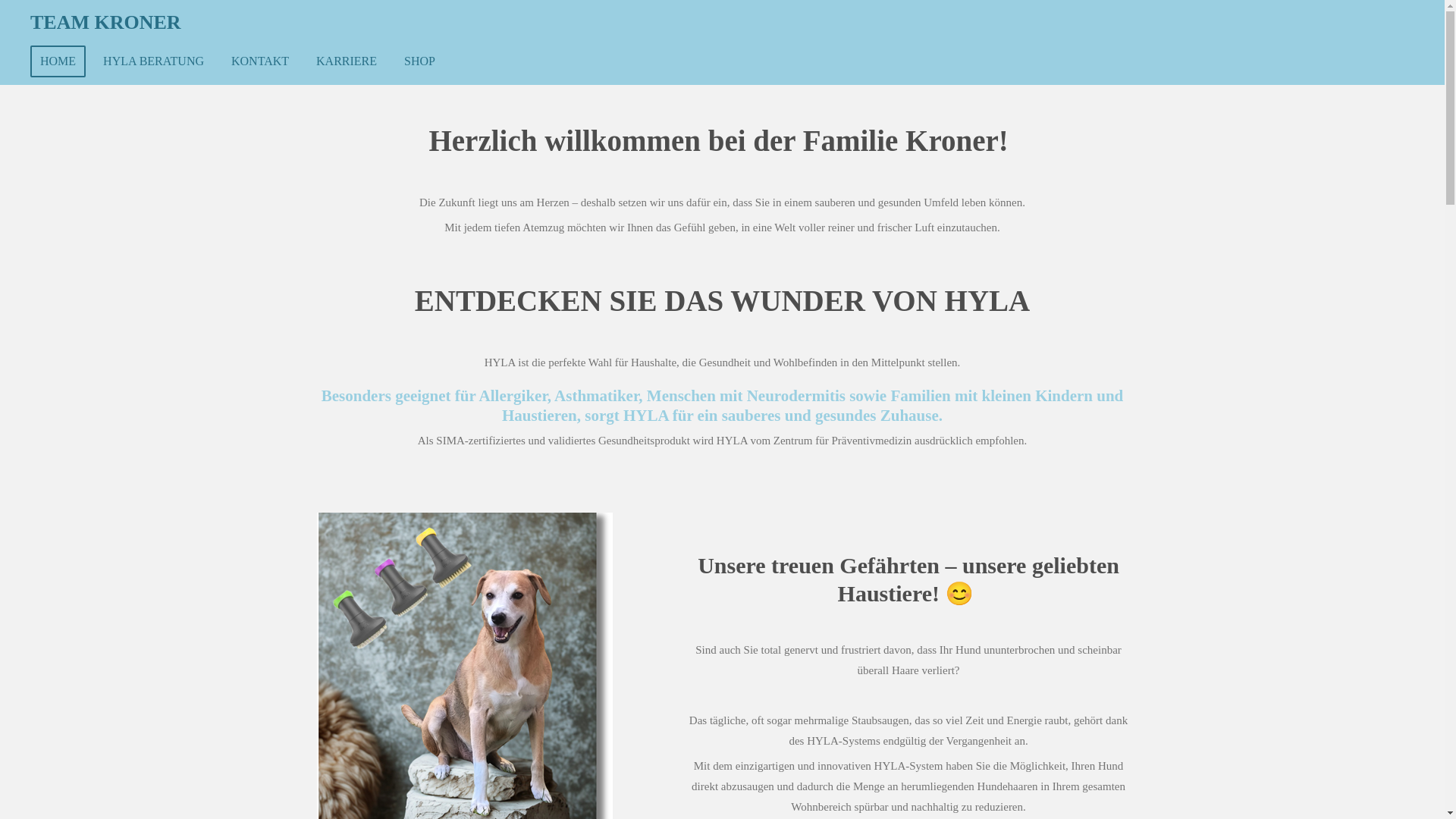 website screenshot of https://teamkroner.at/