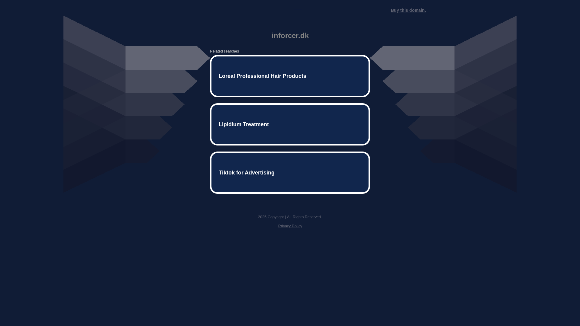 website screenshot of https://inforcer.dk/