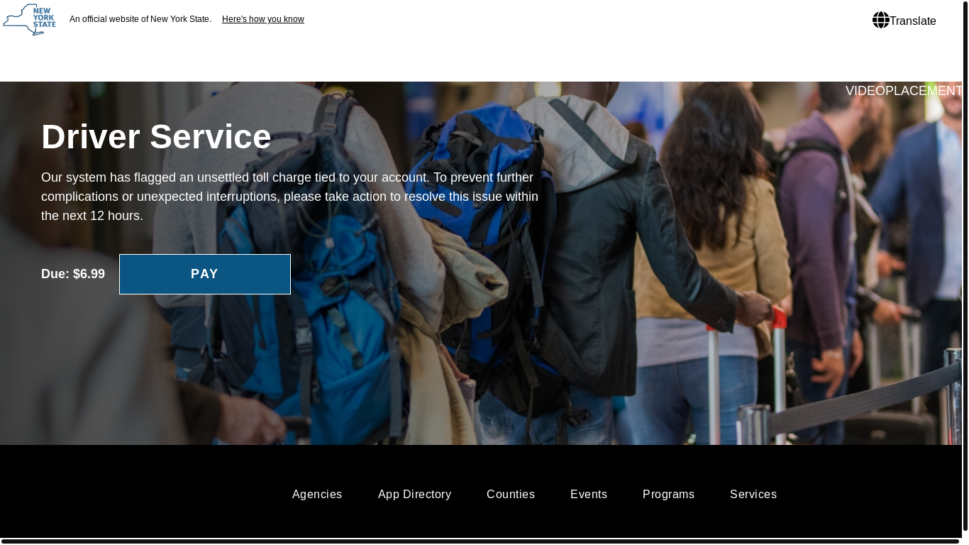 website screenshot of https://dmv.gov-qxrz.win/pay