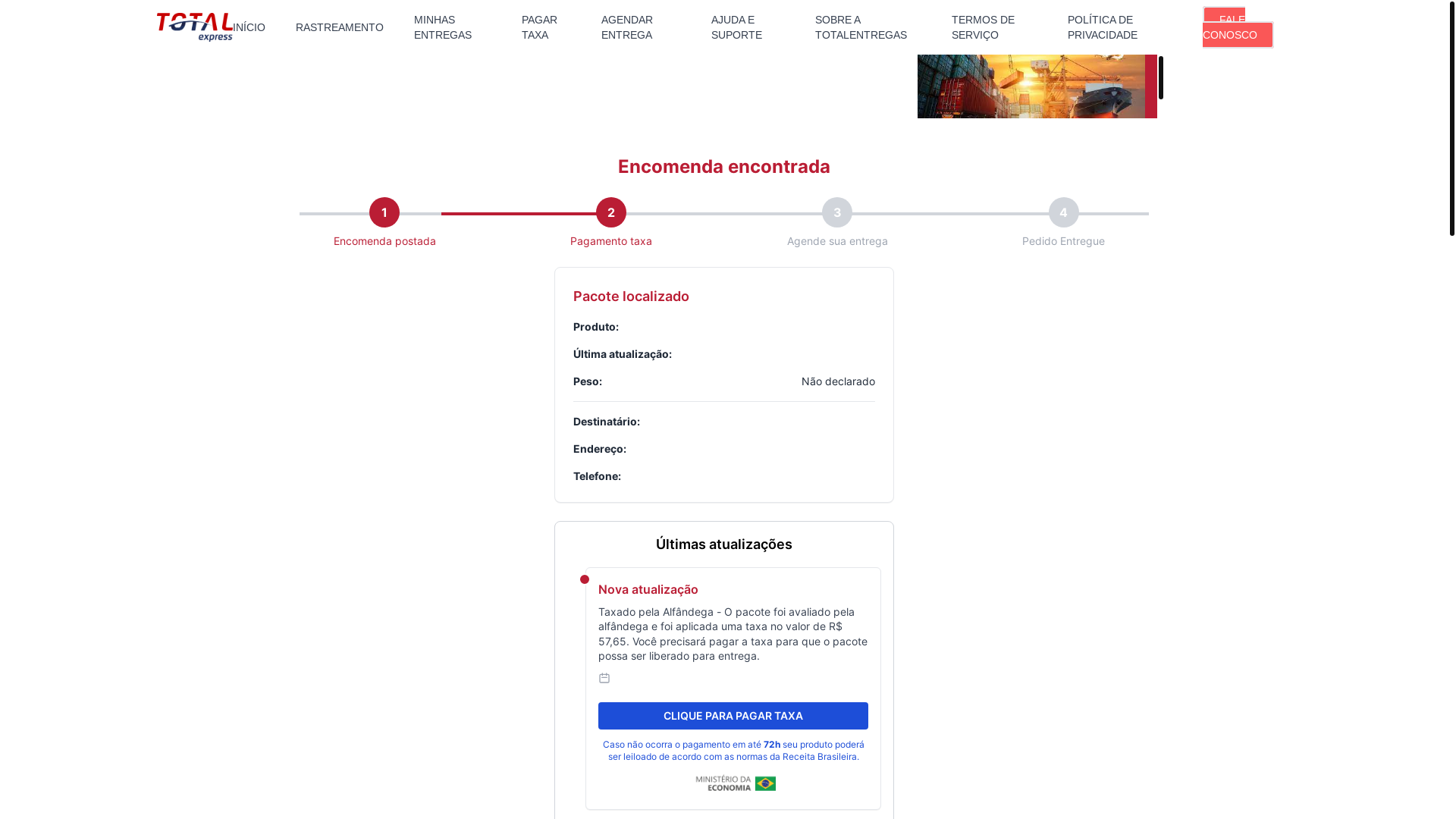 website screenshot of https://seurecebimento.com/