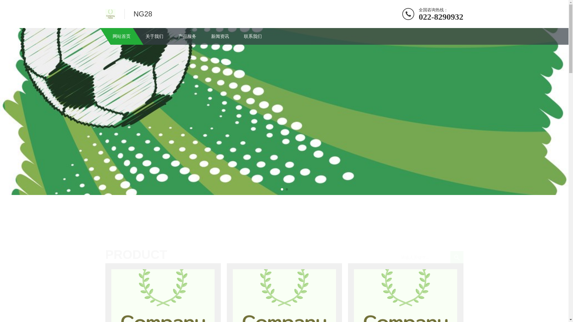 website screenshot of https://main-cn-ng28.com/