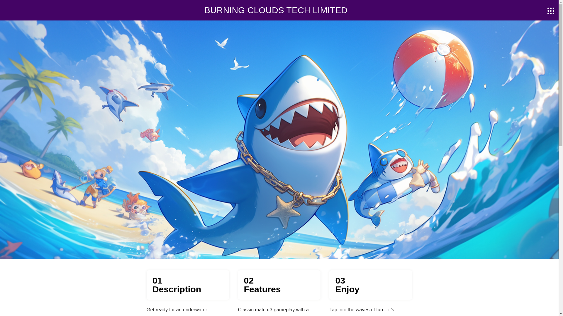 website screenshot of https://burningcloudstech.com/