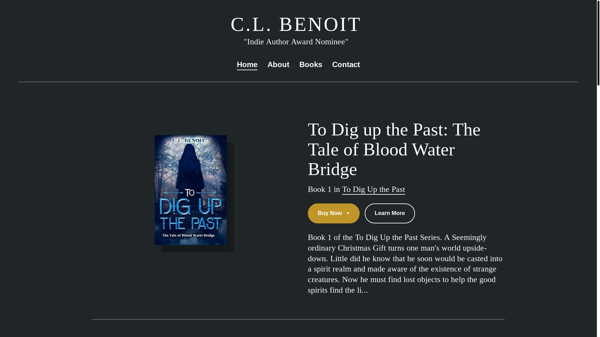 website screenshot of https://clbenoit.com/