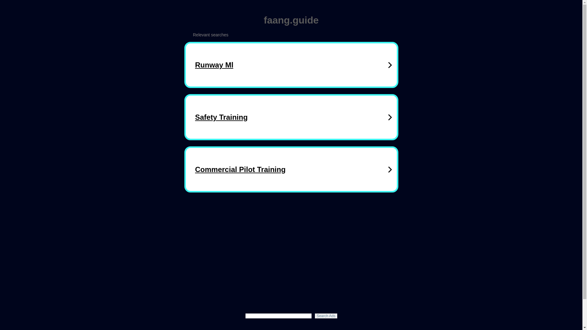 website screenshot of https://faang.guide/