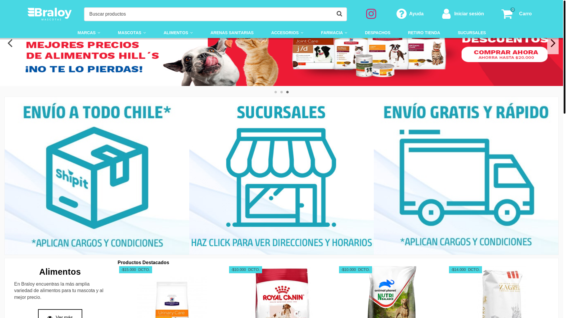 website screenshot of https://braloy.cl/