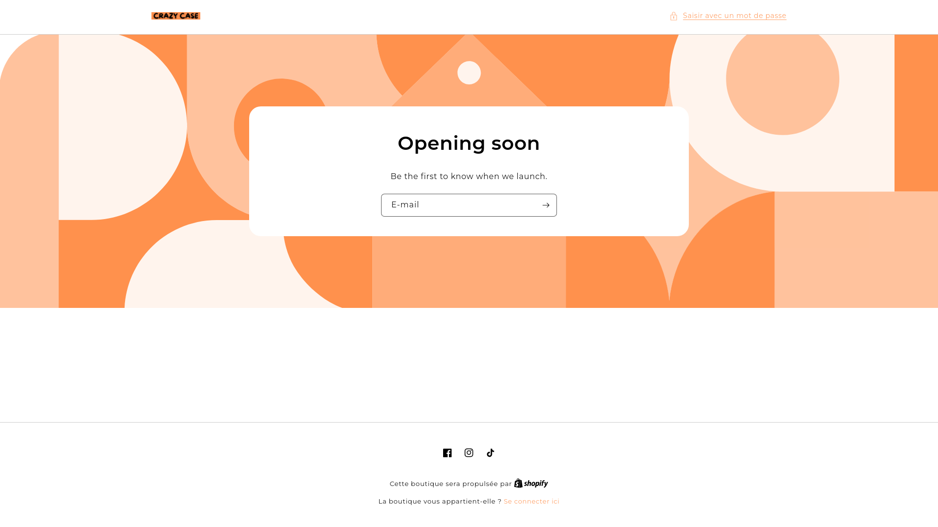 website screenshot of https://shinecases.shop/