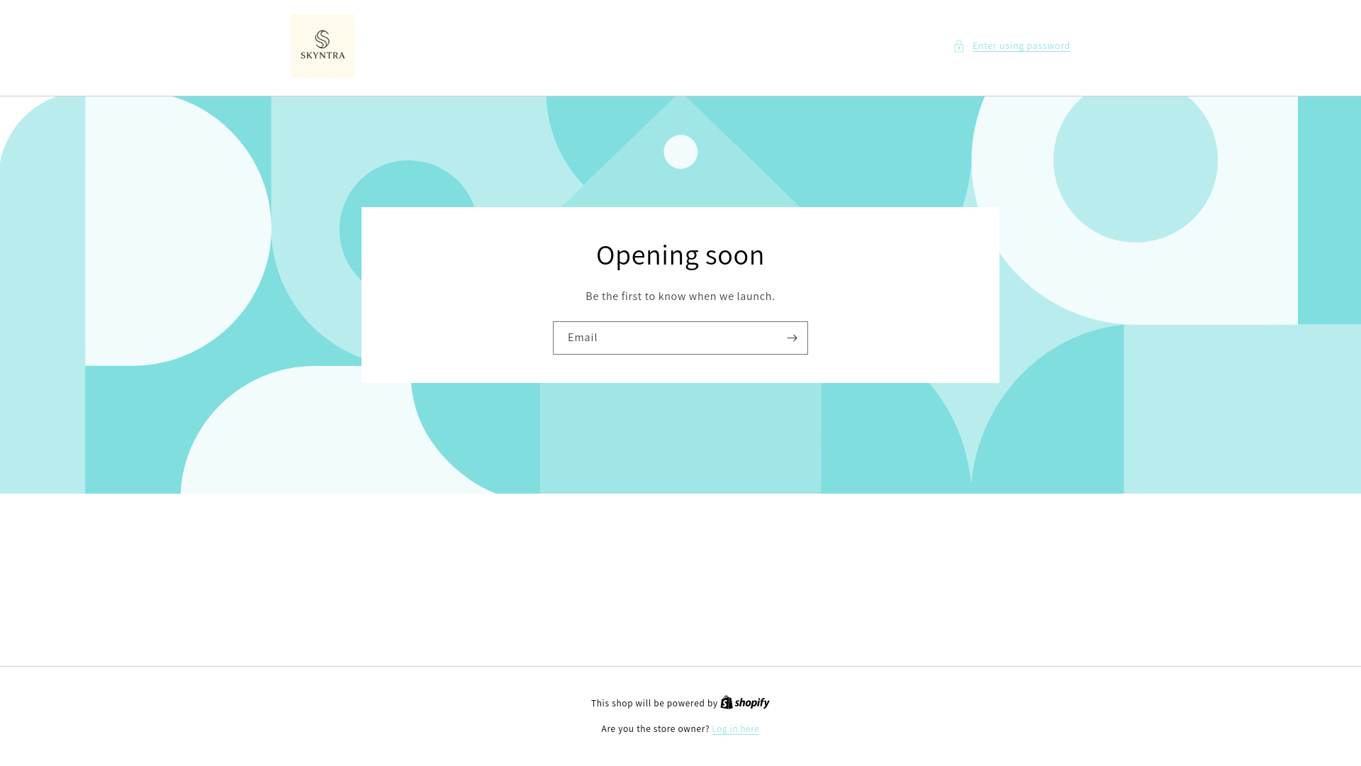 website screenshot of https://skyntrastore.com/