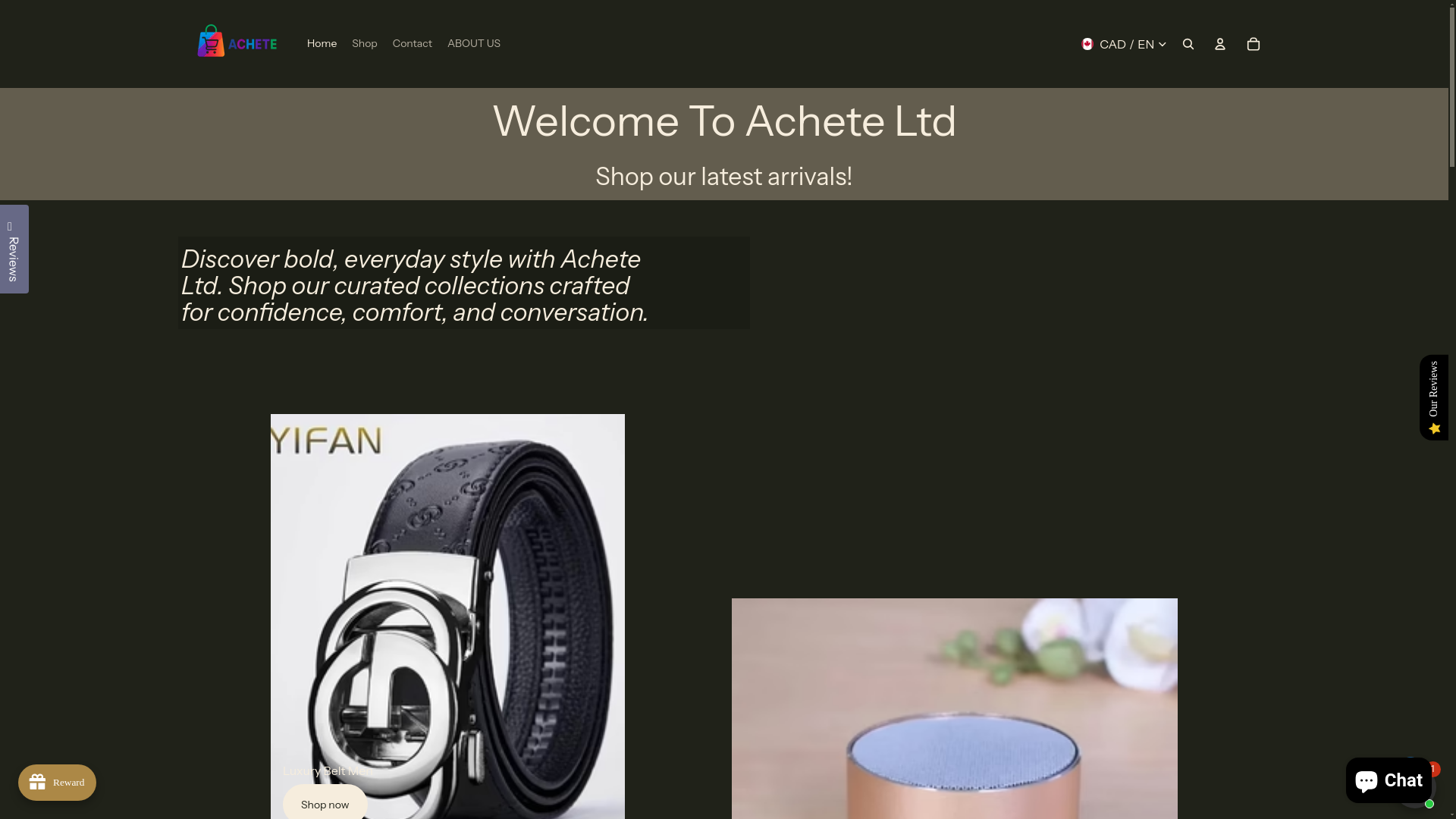 website screenshot of https://acheteltd.net/