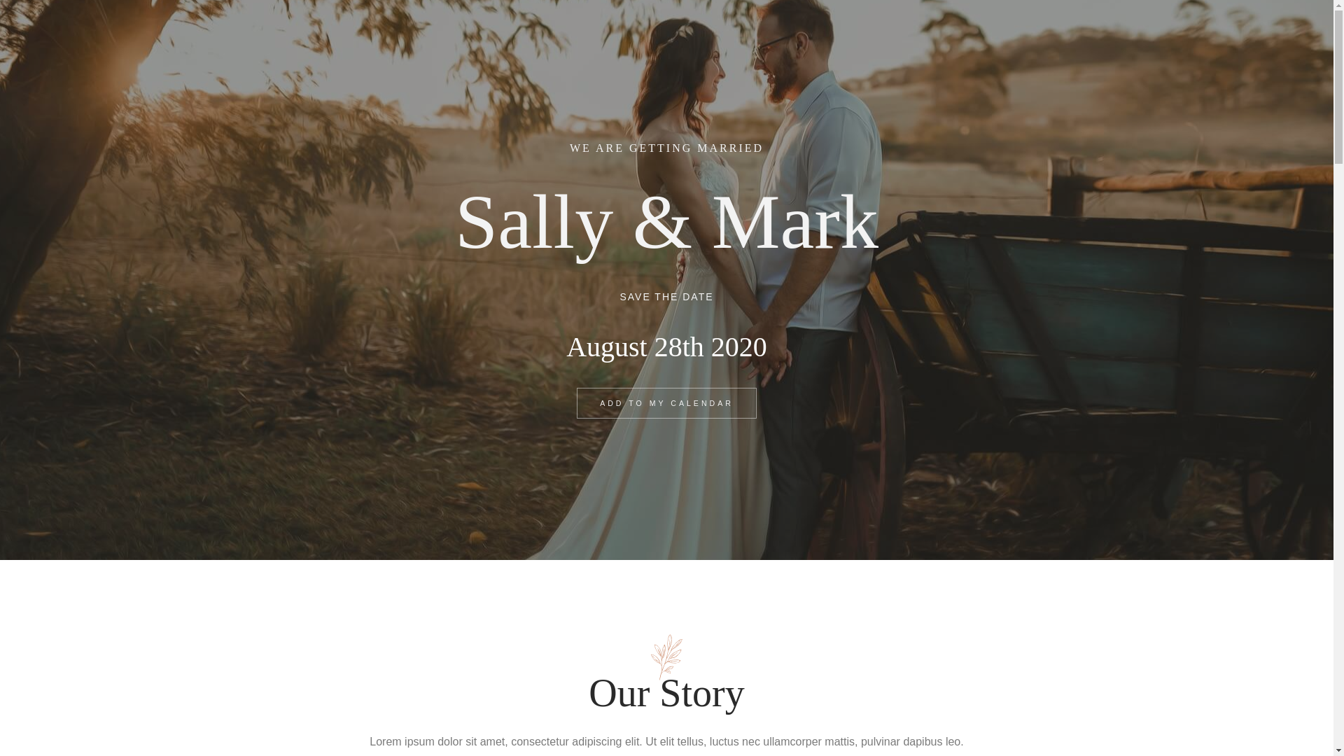 website screenshot of https://bodalorenaydavid.net/