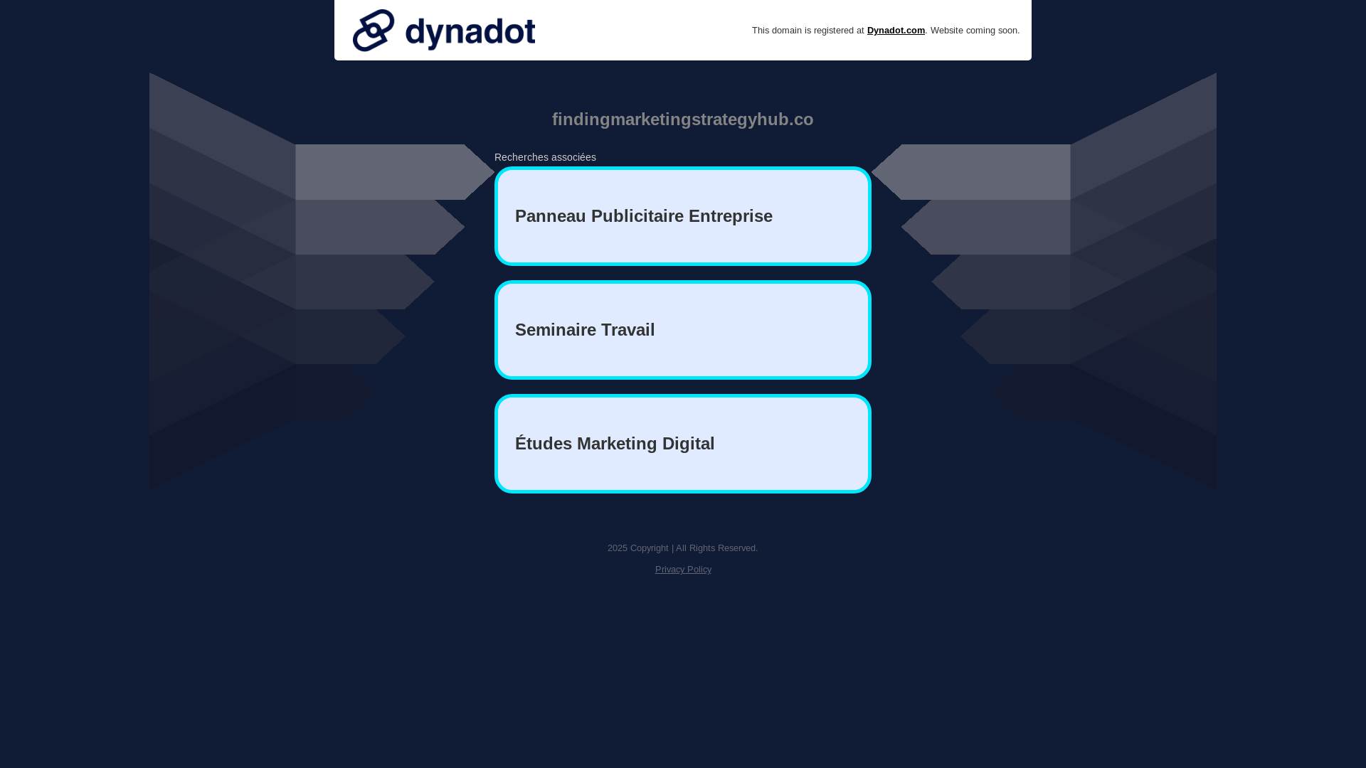 website screenshot of https://findingmarketingstrategyhub.co/