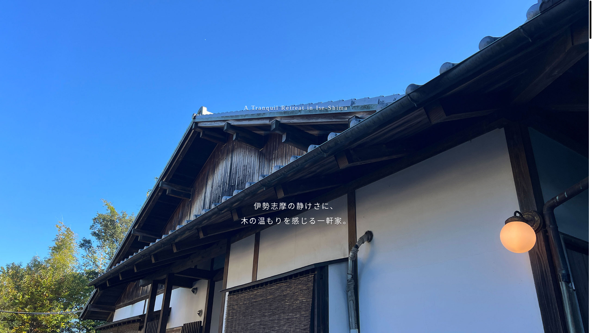 website screenshot of https://zabinoie.com/