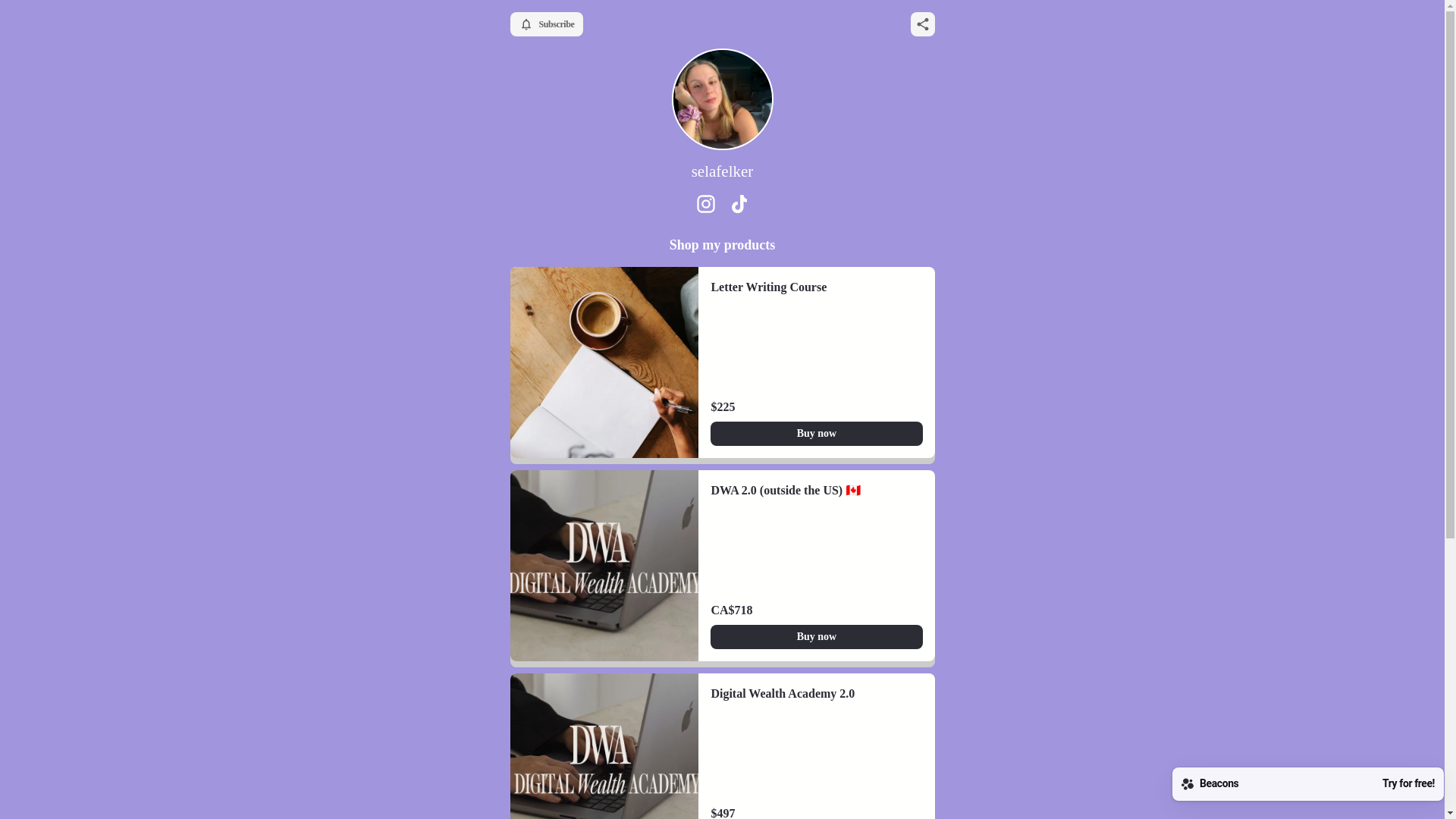 website screenshot of https://selafelker.com/