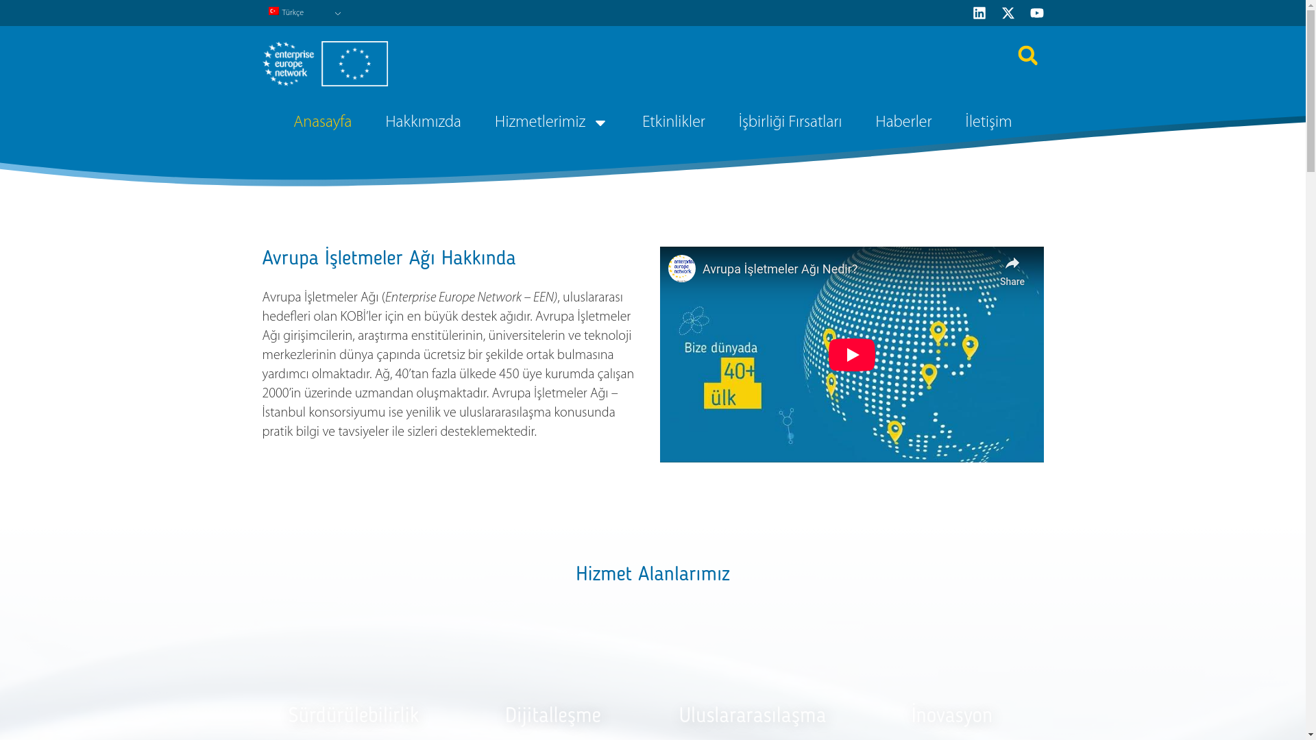 website screenshot of https://aia-istanbul.tr/