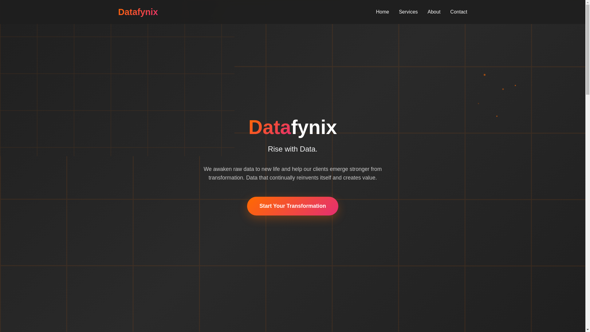 website screenshot of https://datafynix-website.pages.dev/