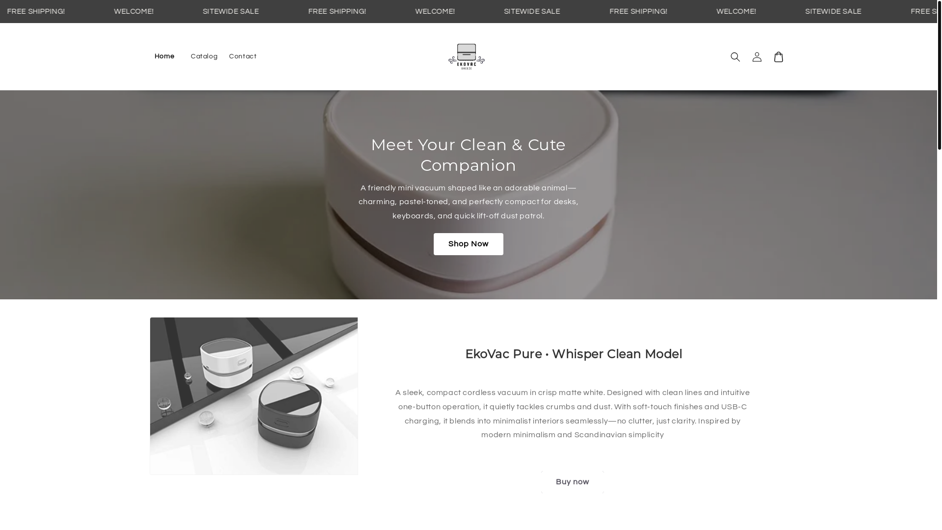 website screenshot of https://ekovacuum.com/
