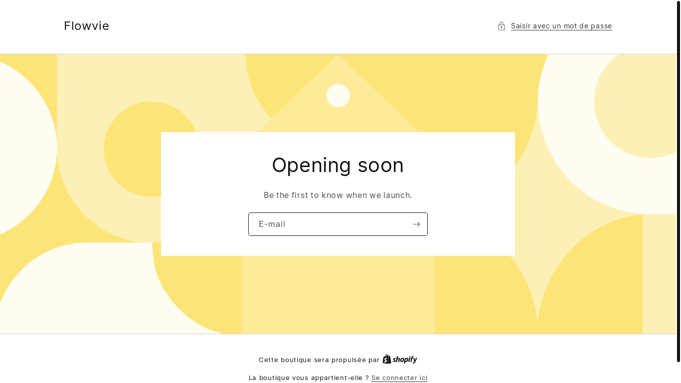 website screenshot of https://flowvie.fr/