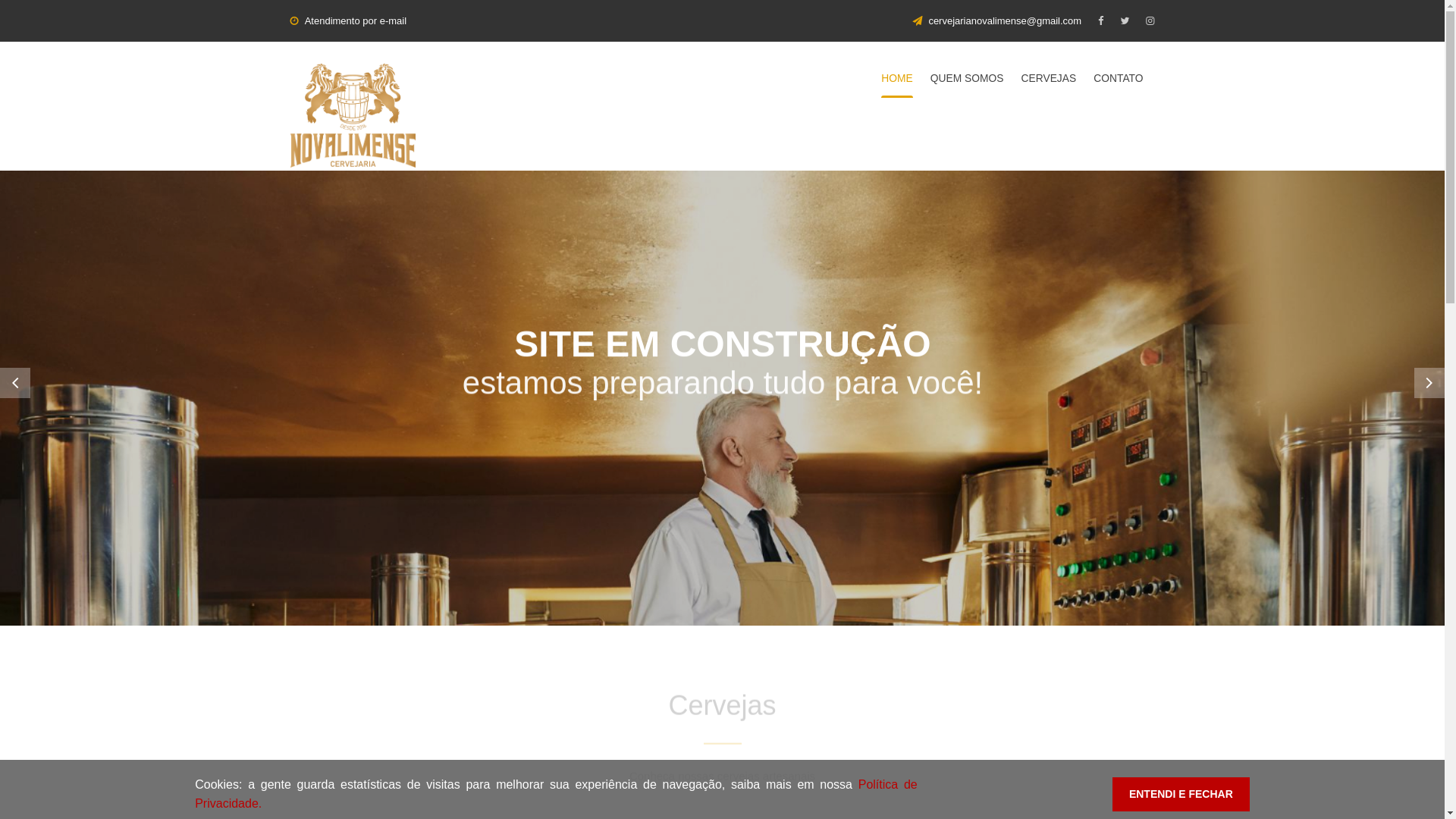 website screenshot of https://cervejarianovalimense.com.br/