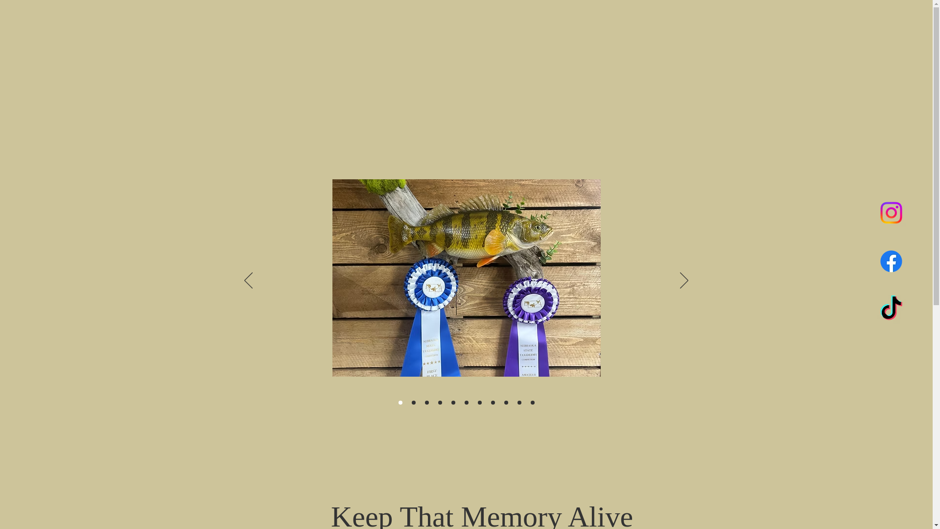 website screenshot of https://truelegendstaxidermy.com/