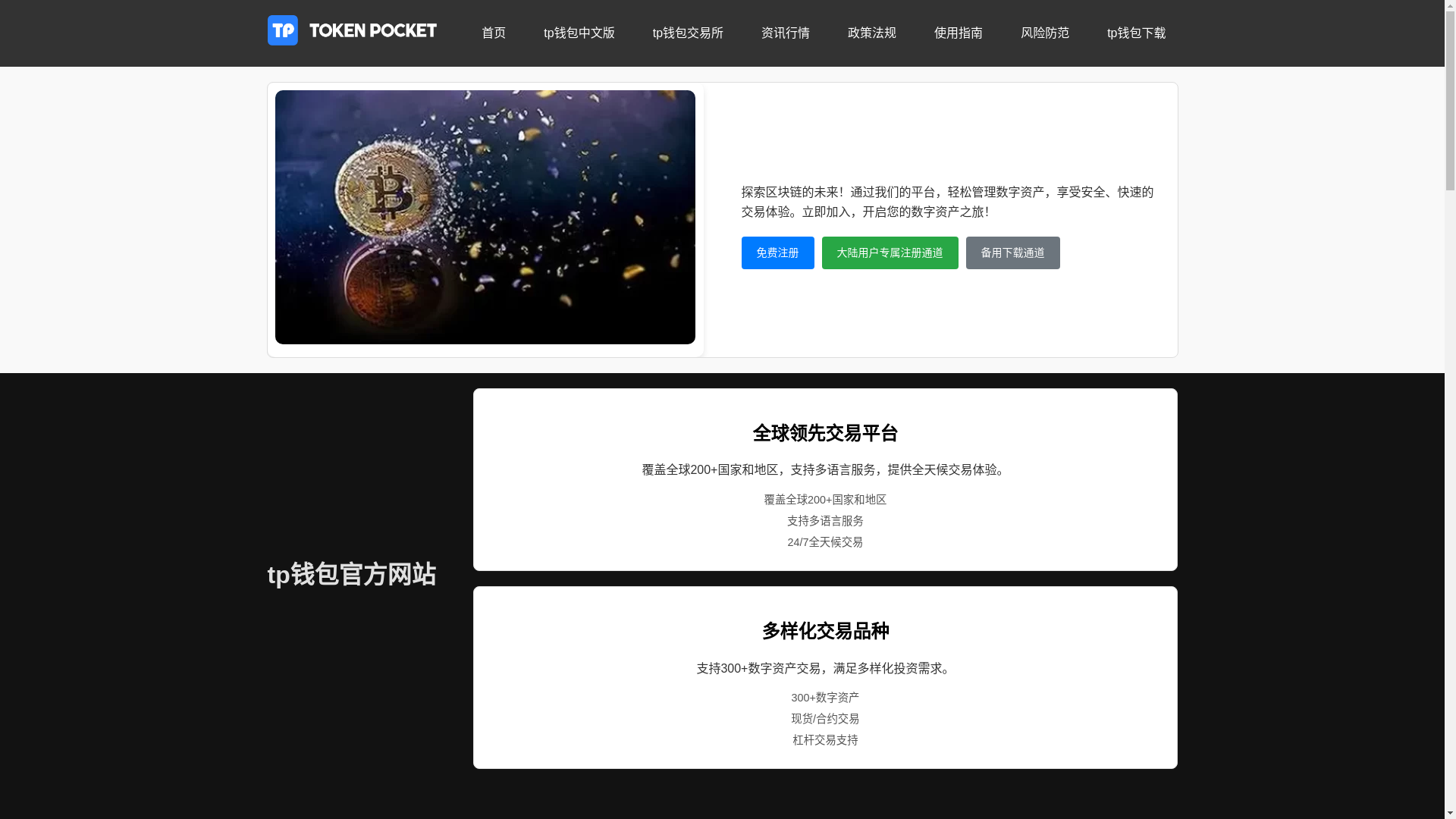 website screenshot of https://bb1-tp-qianbao.com/