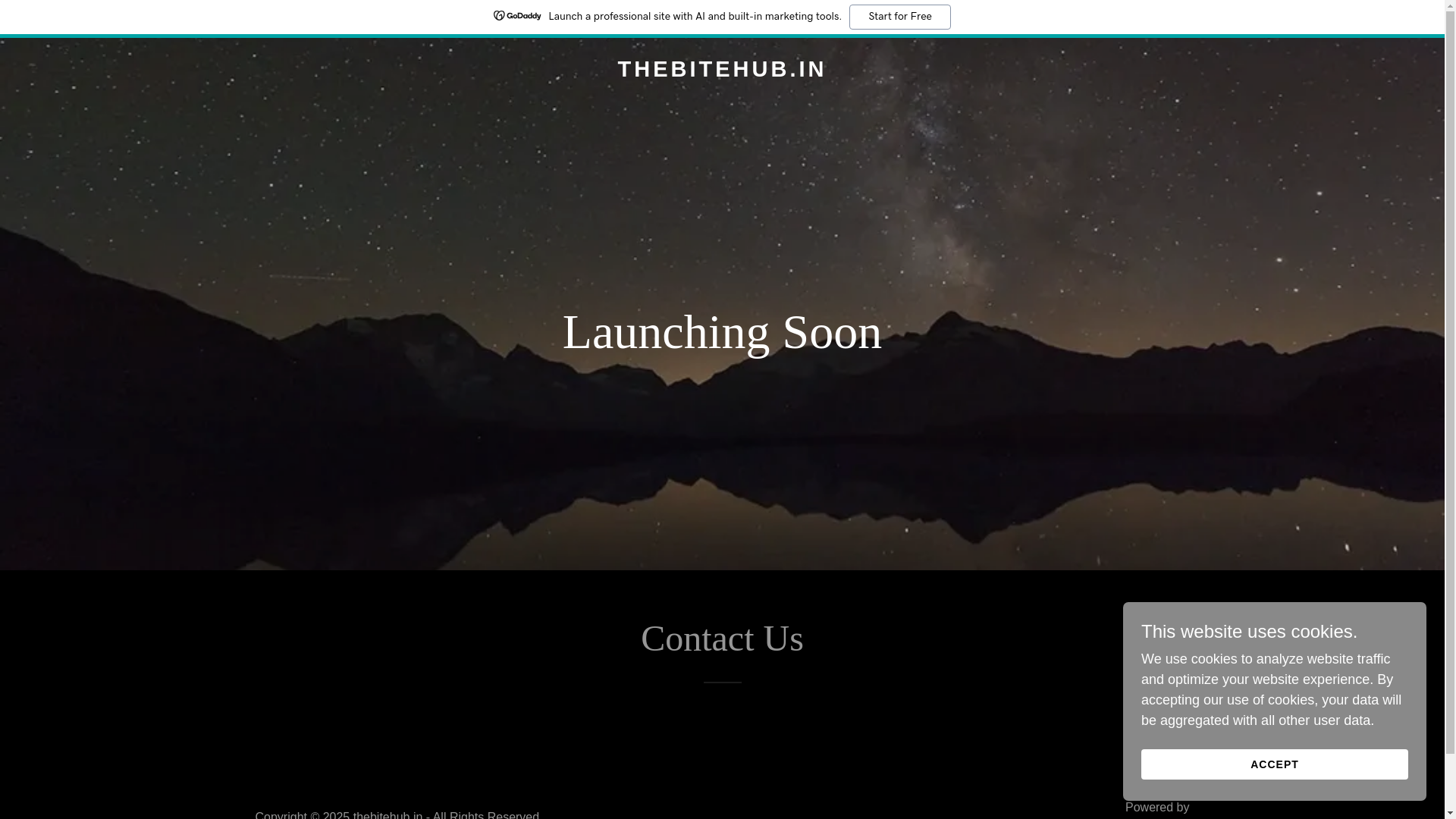 website screenshot of https://thebitehub.in/