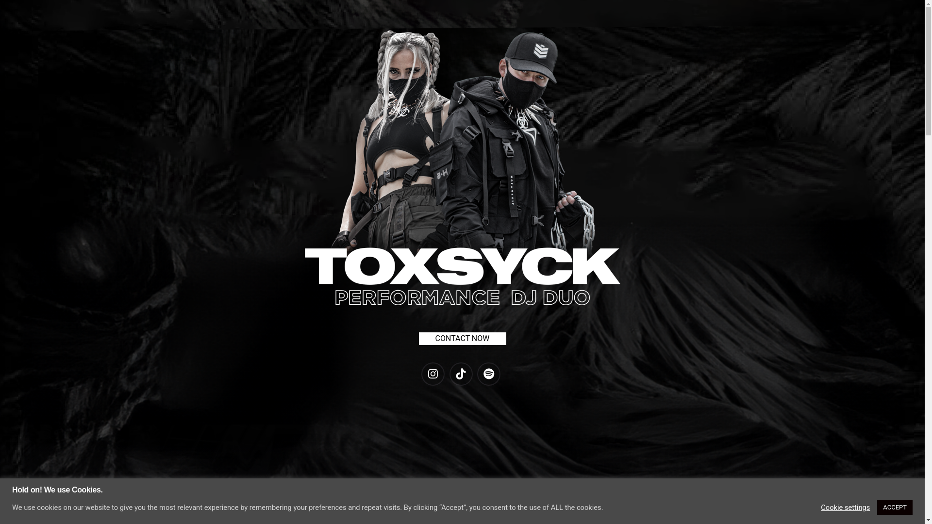 website screenshot of https://toxsyck.de/