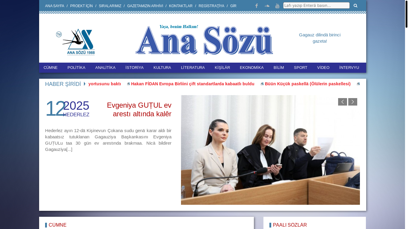 website screenshot of https://anasozu.com/