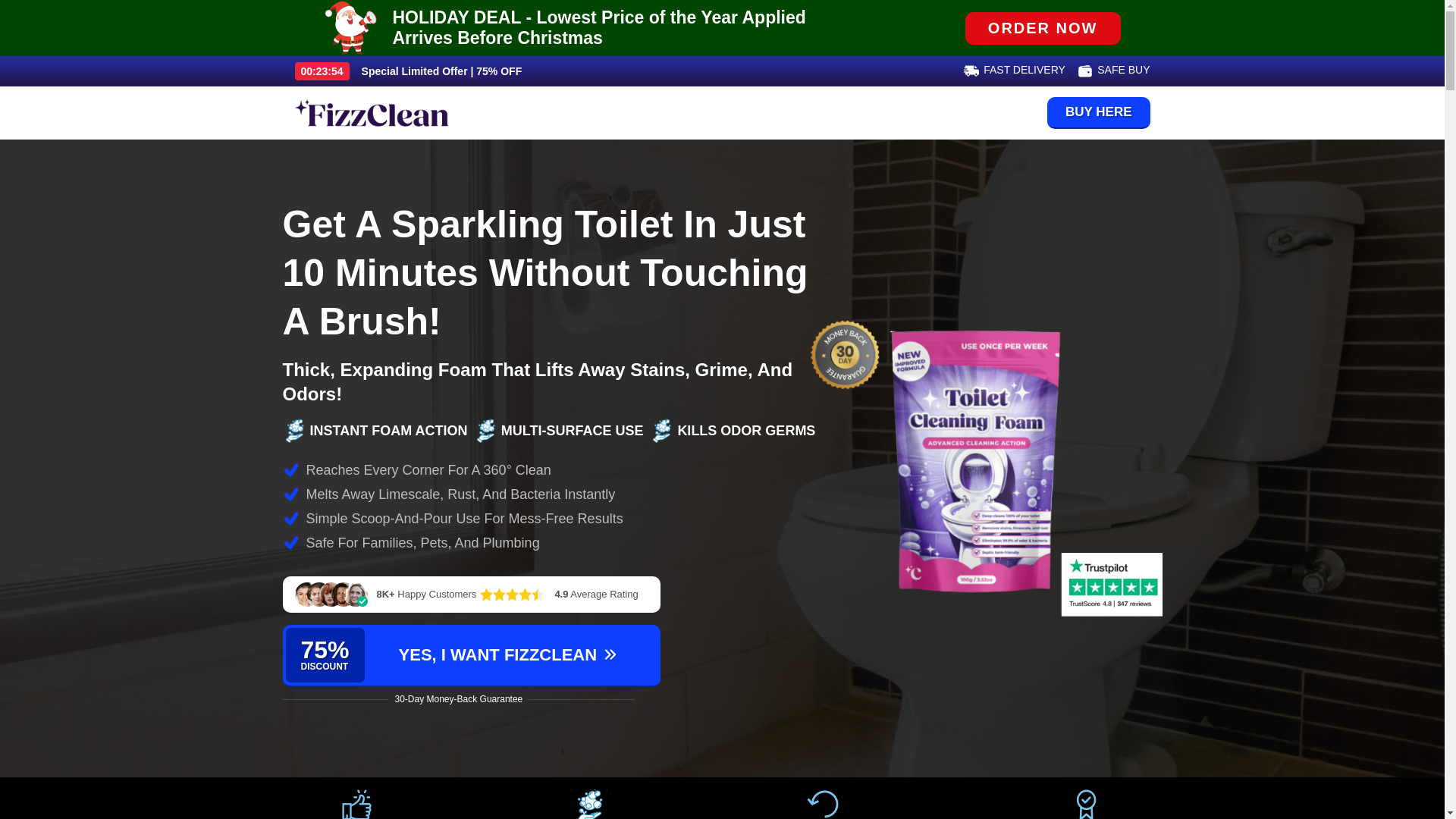website screenshot of https://fizzcleanfoam.com/