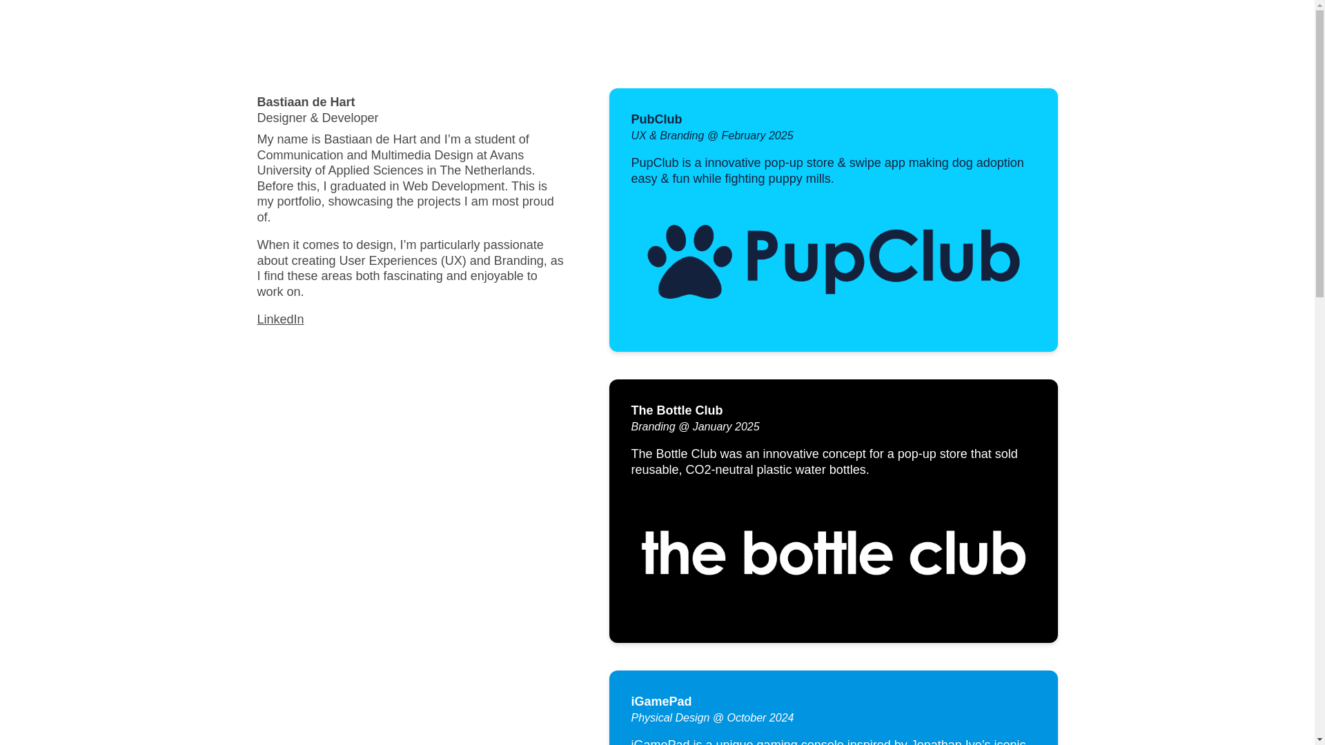 website screenshot of https://bastiaandehart-com.pages.dev/