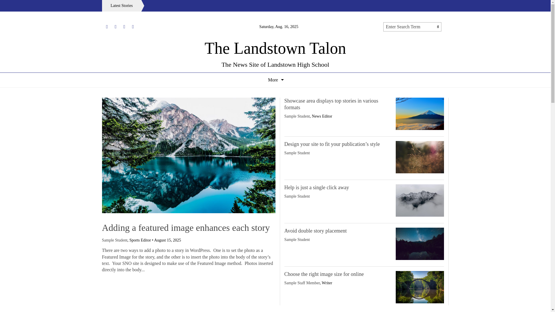 website screenshot of https://lhstalon.com/