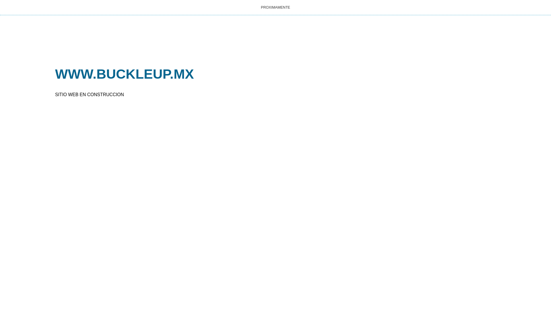 website screenshot of https://buckleup.mx/