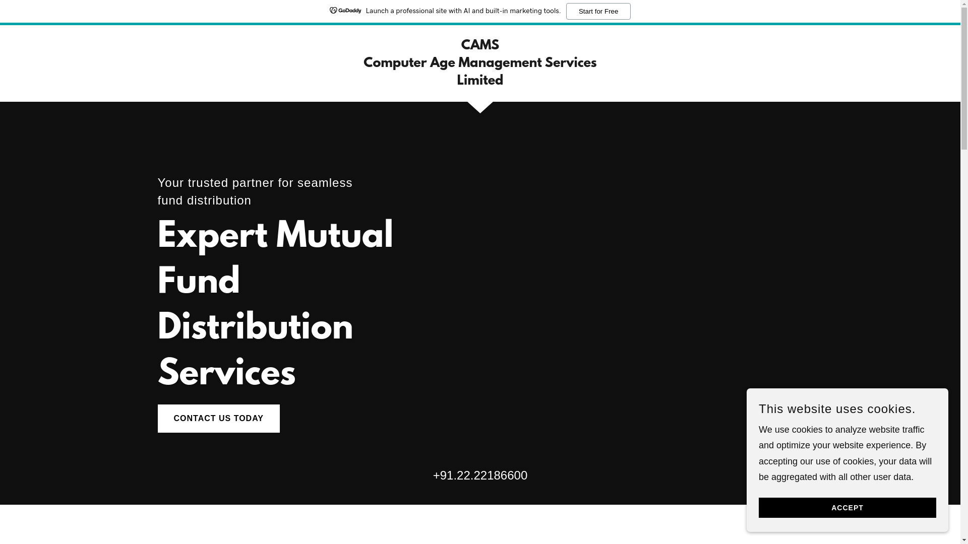 website screenshot of https://camsindiaonline.com/