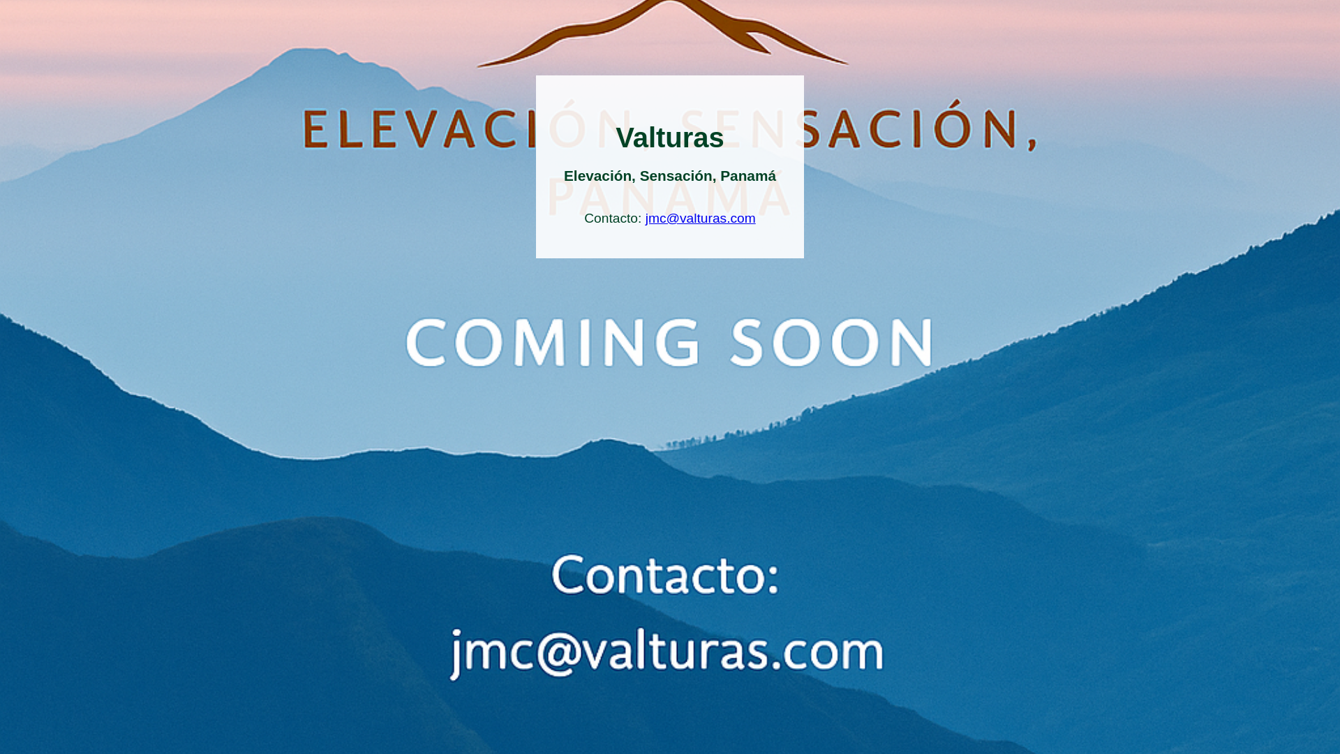 website screenshot of https://valturas-354.pages.dev/