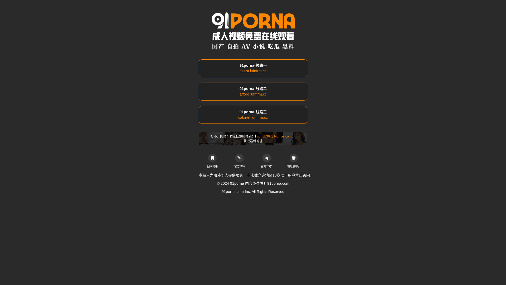 website screenshot of https://91wang106.com/