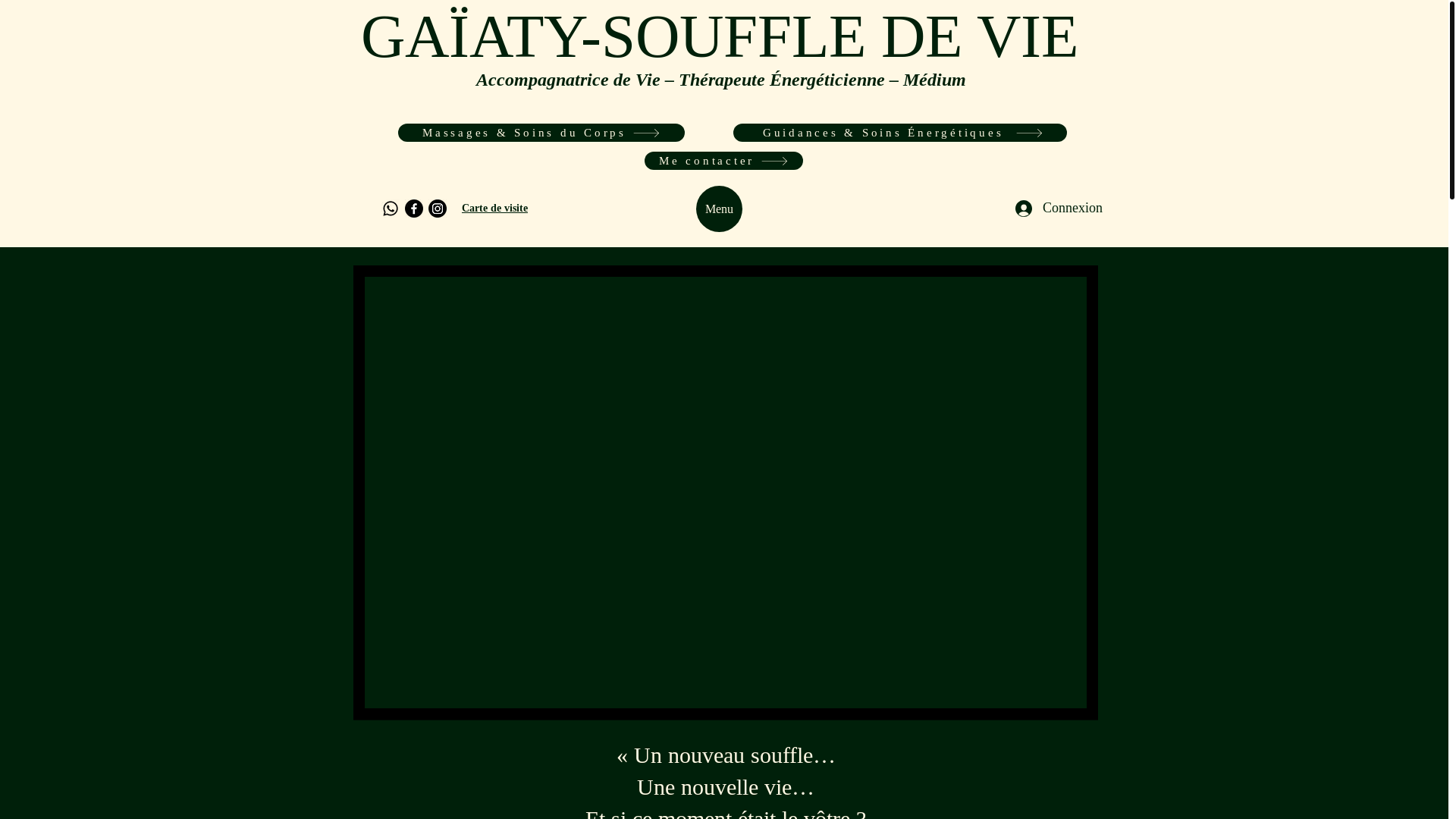 website screenshot of https://gaiaty.com/