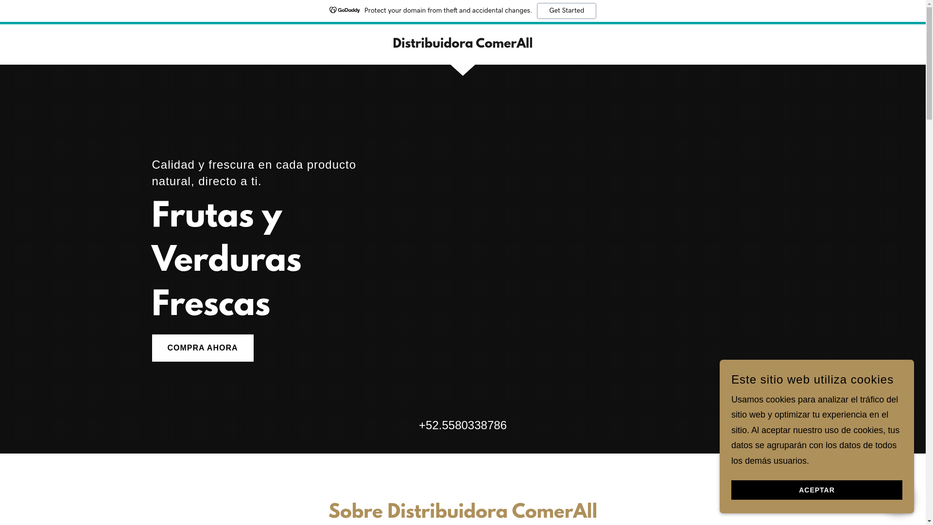website screenshot of https://distribuidorafood.com/