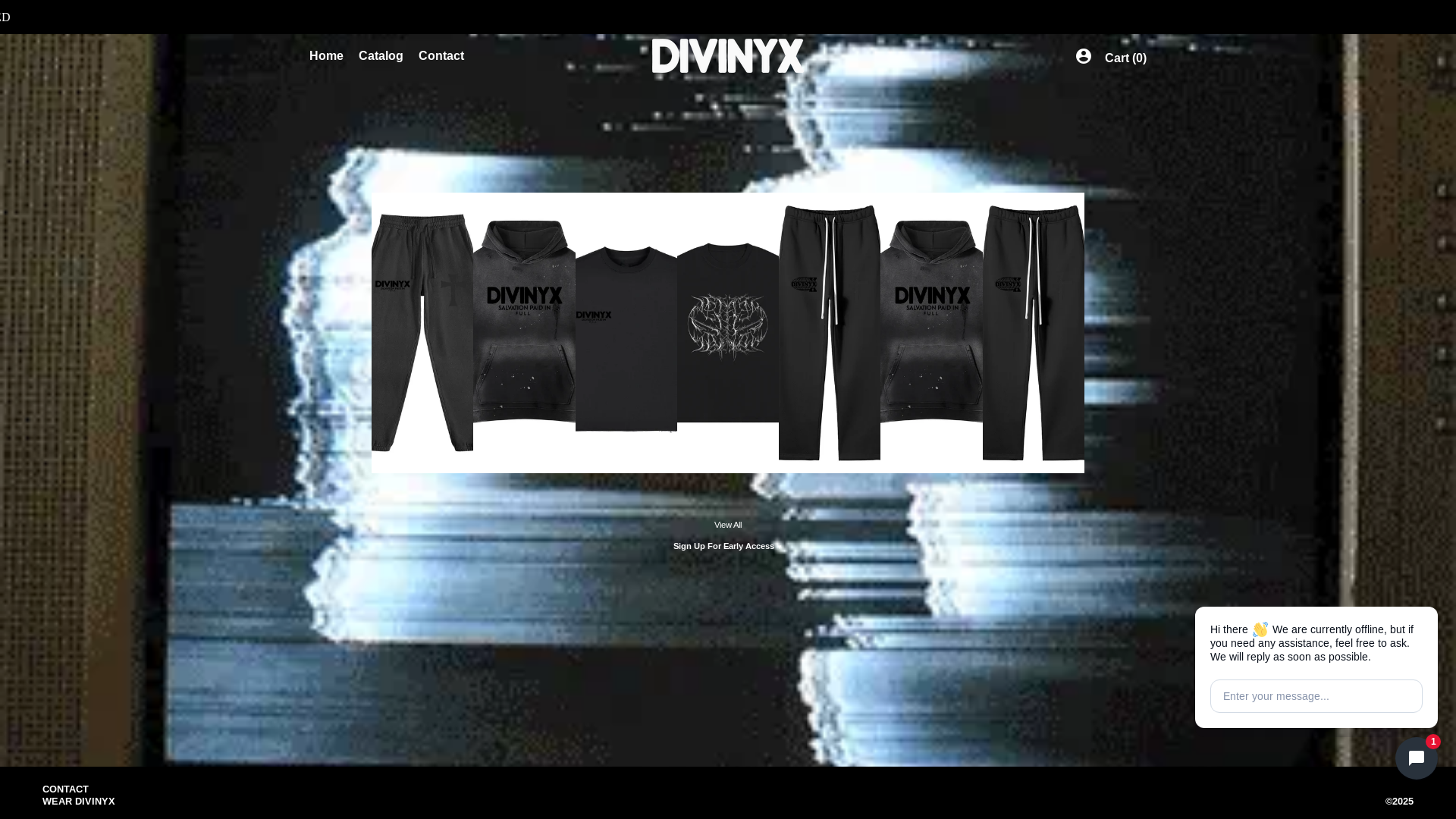 website screenshot of https://weardivinyx.com/