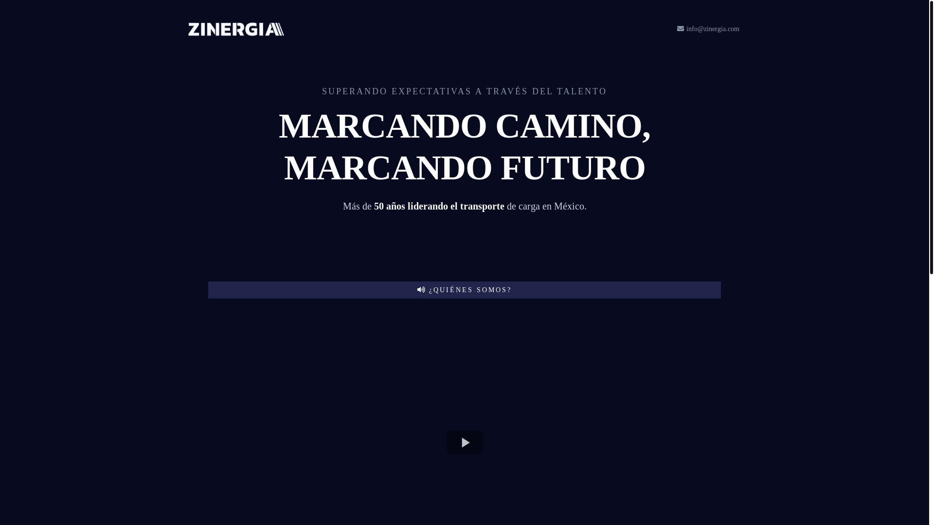 website screenshot of https://nmex-embarques.com/