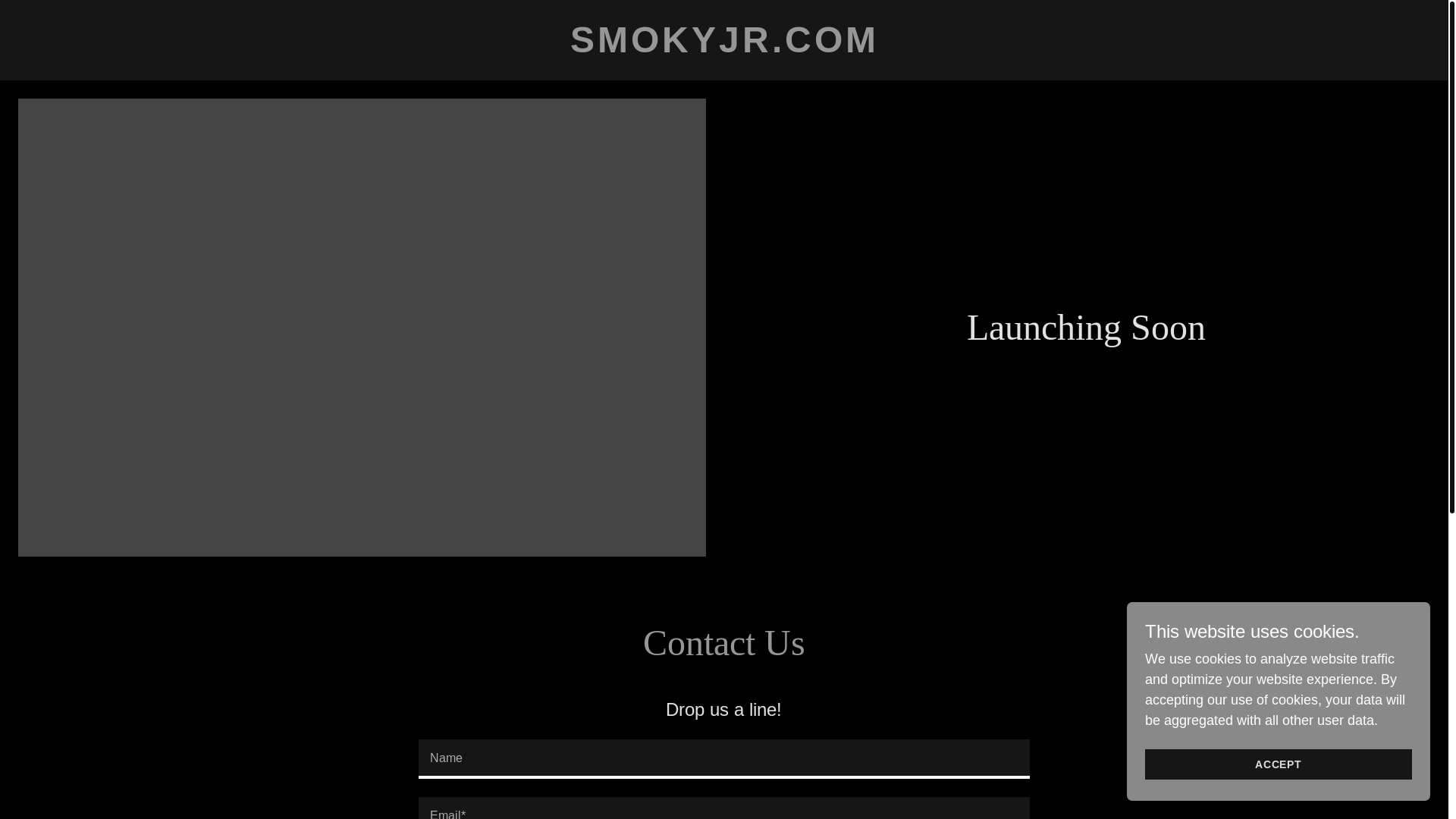 website screenshot of https://smokyjr.com/