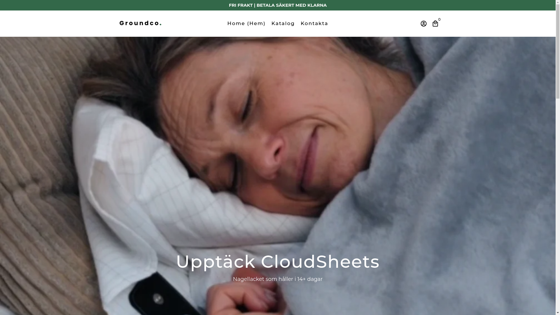 website screenshot of https://groundco.se/