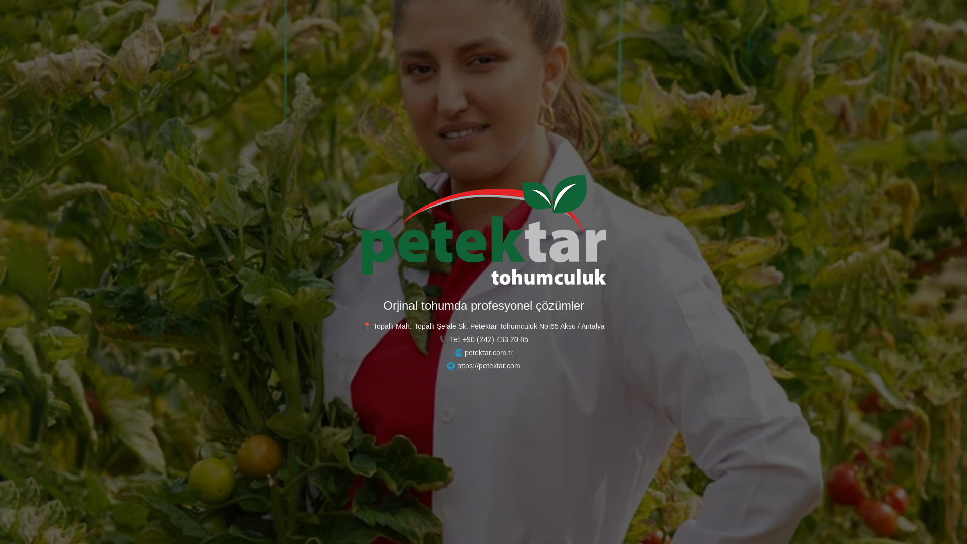 website screenshot of https://petektarcomtr.pages.dev/