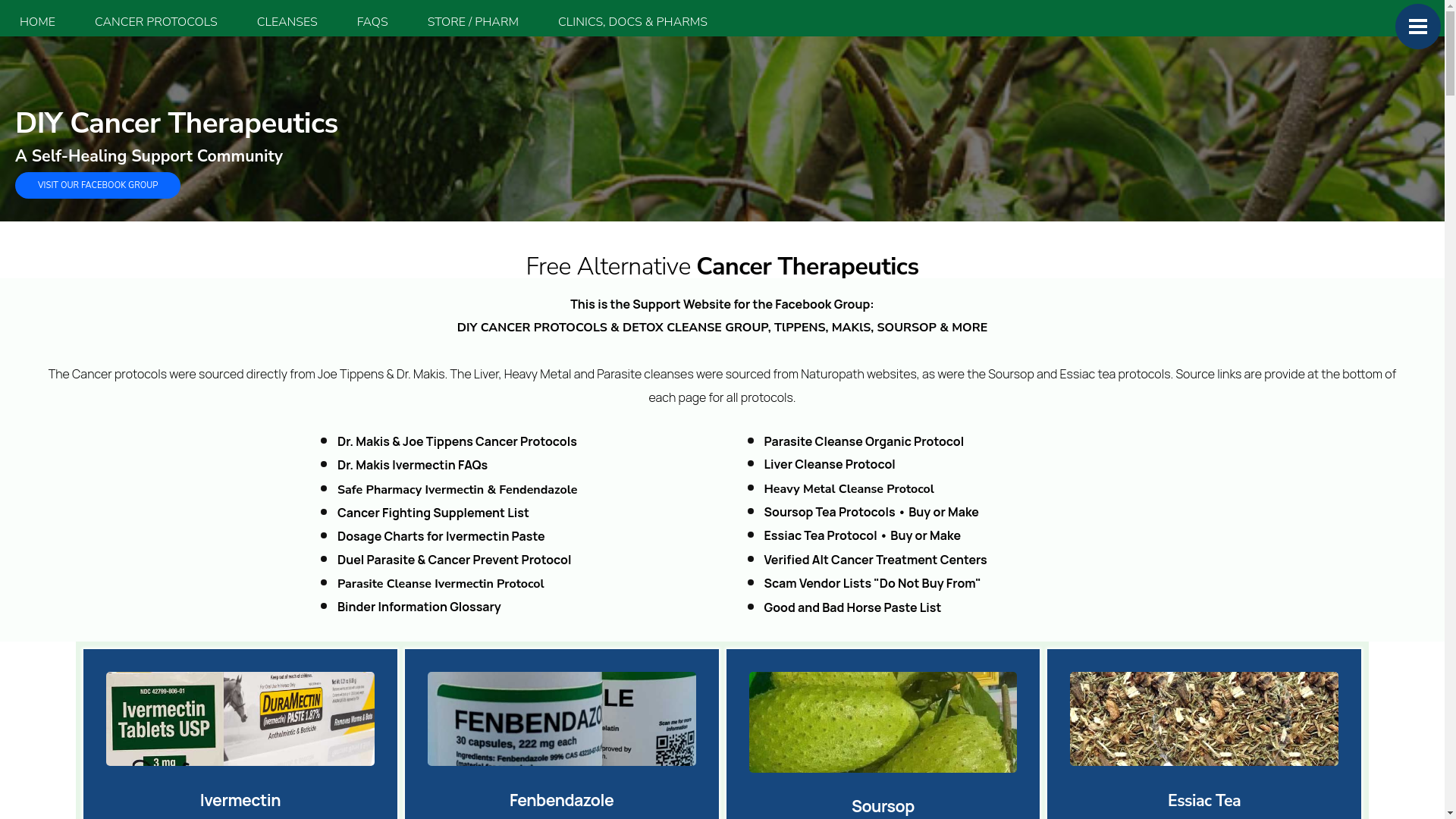 website screenshot of https://www.diycancertherapeutics.com/